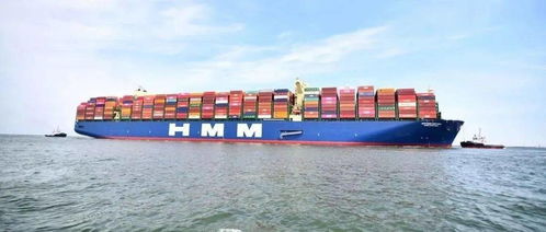 絲路海運(yùn) 從福建走向世界的全球貿(mào)易物流新亮點(diǎn)