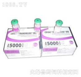 鄭州翰威畜牧科技 獸藥飼料火爆招商，賦能現代畜牧漁業新篇章