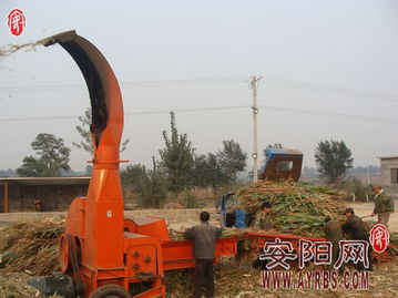 搶抓農時促轉化，市畜牧局多措并舉推廣秸稈青貯飼料助力畜牧漁業降本增效